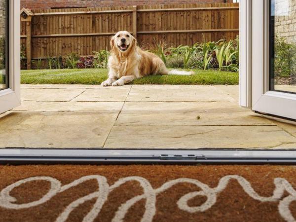 Five Top Tips for Creating an Inviting Hosting Space image 8, view larger