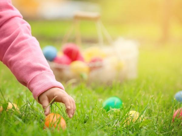 We Host Fun Easter Weekend Open Day at Church Farm image 5, view larger