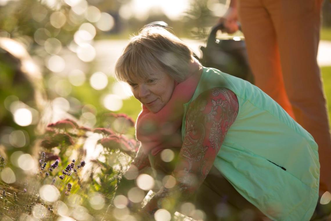 Woman crouching to admire flowers in a sunlit garden border