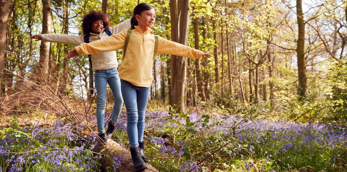 Two children balancing on a fallen log in a bluebell wood