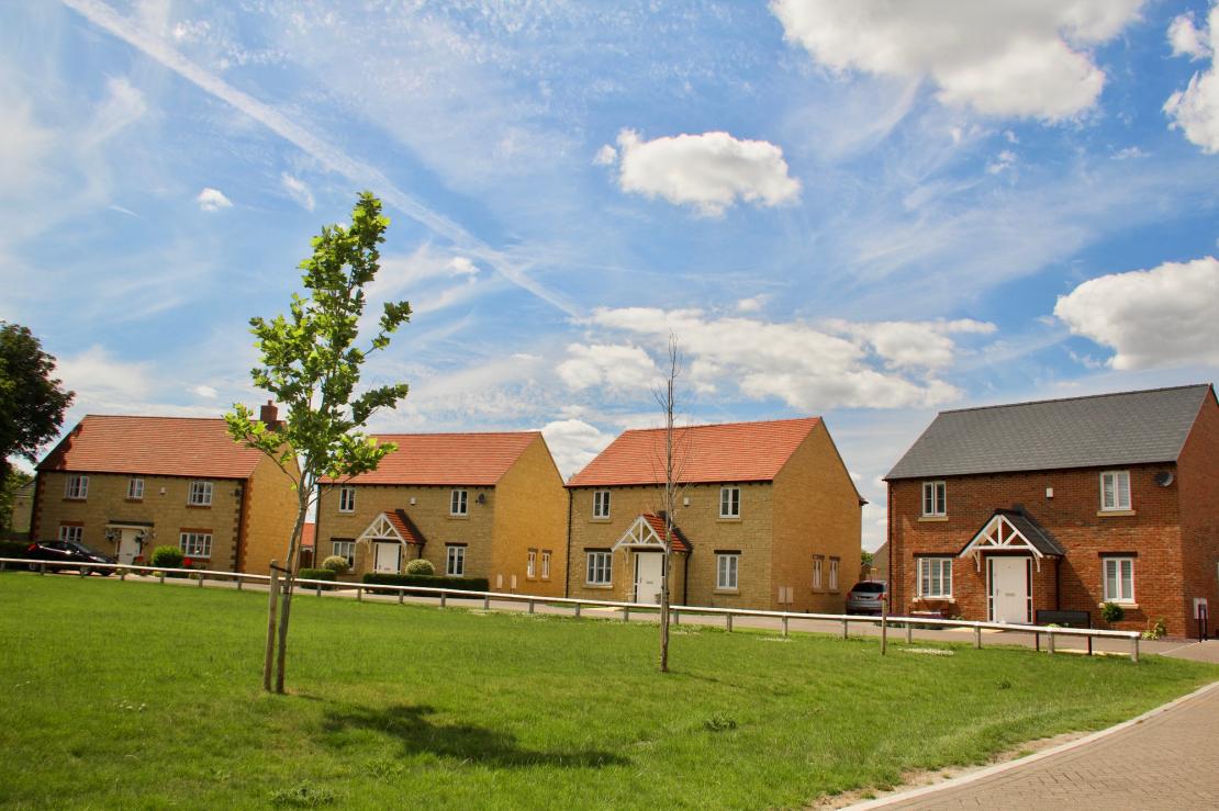 Willow Farm