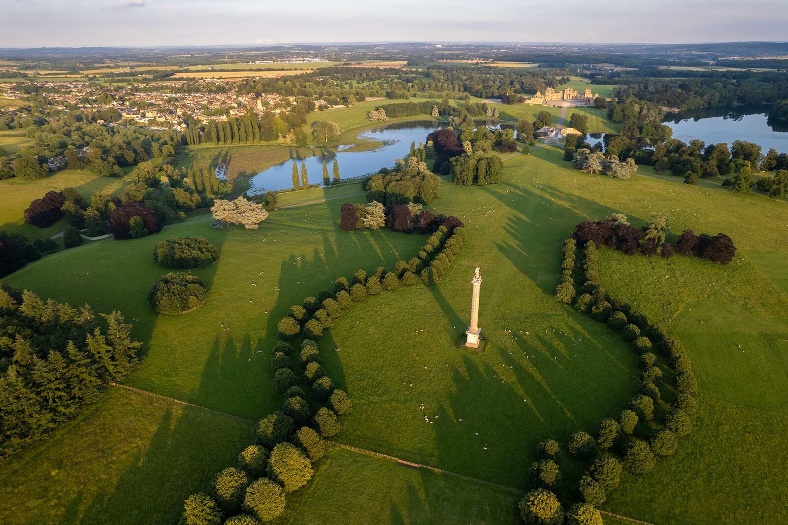 The rowan tree was grown and nurtured on the prestigious Blenheim Estate