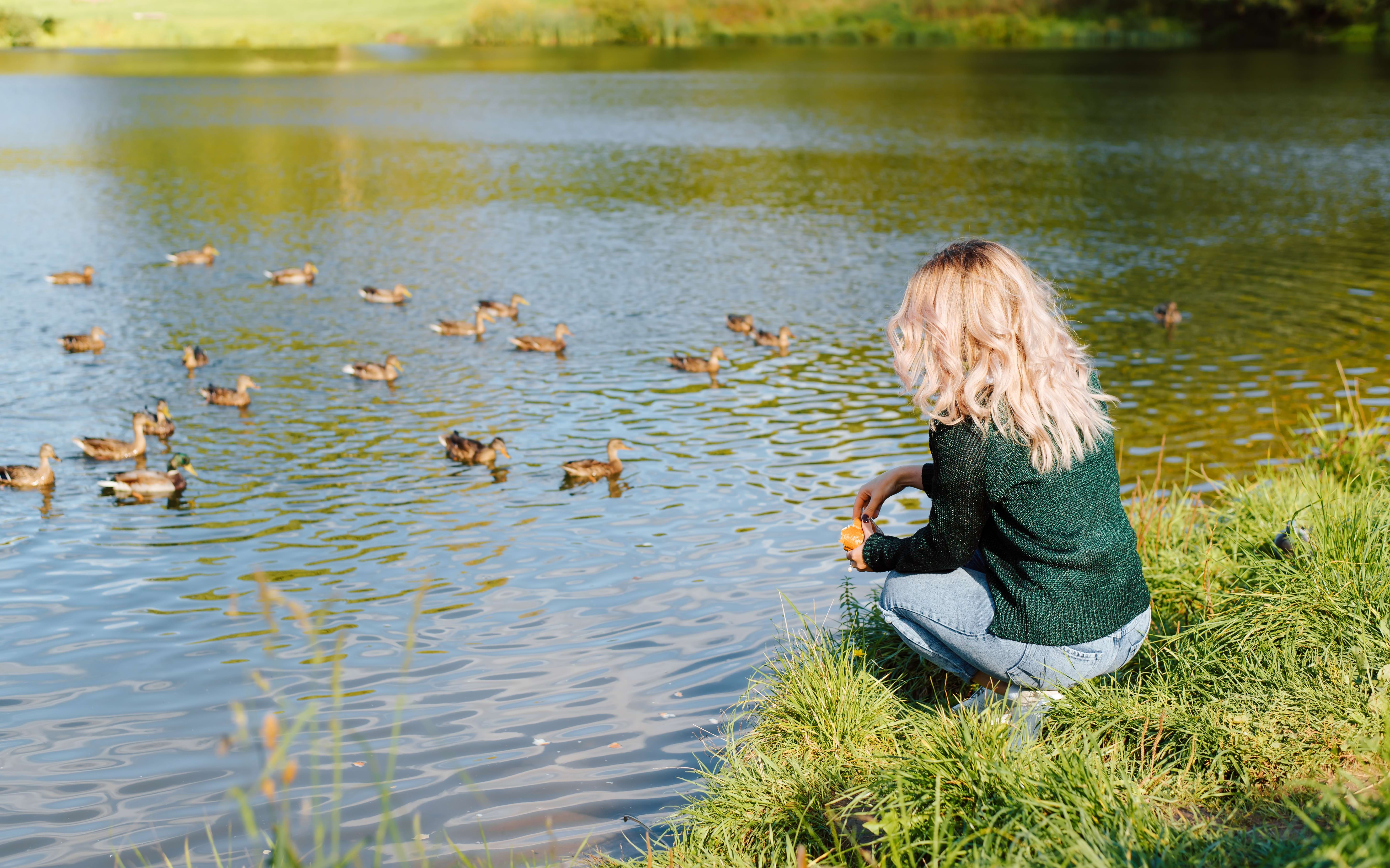 Life at Welborne, built by Pye Homes